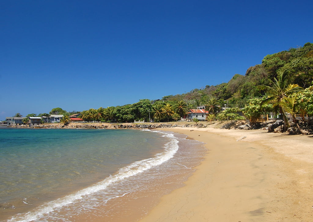 Honduras Isla Rota Honduras: ¿reelección o socialismo? - Diálogo Político